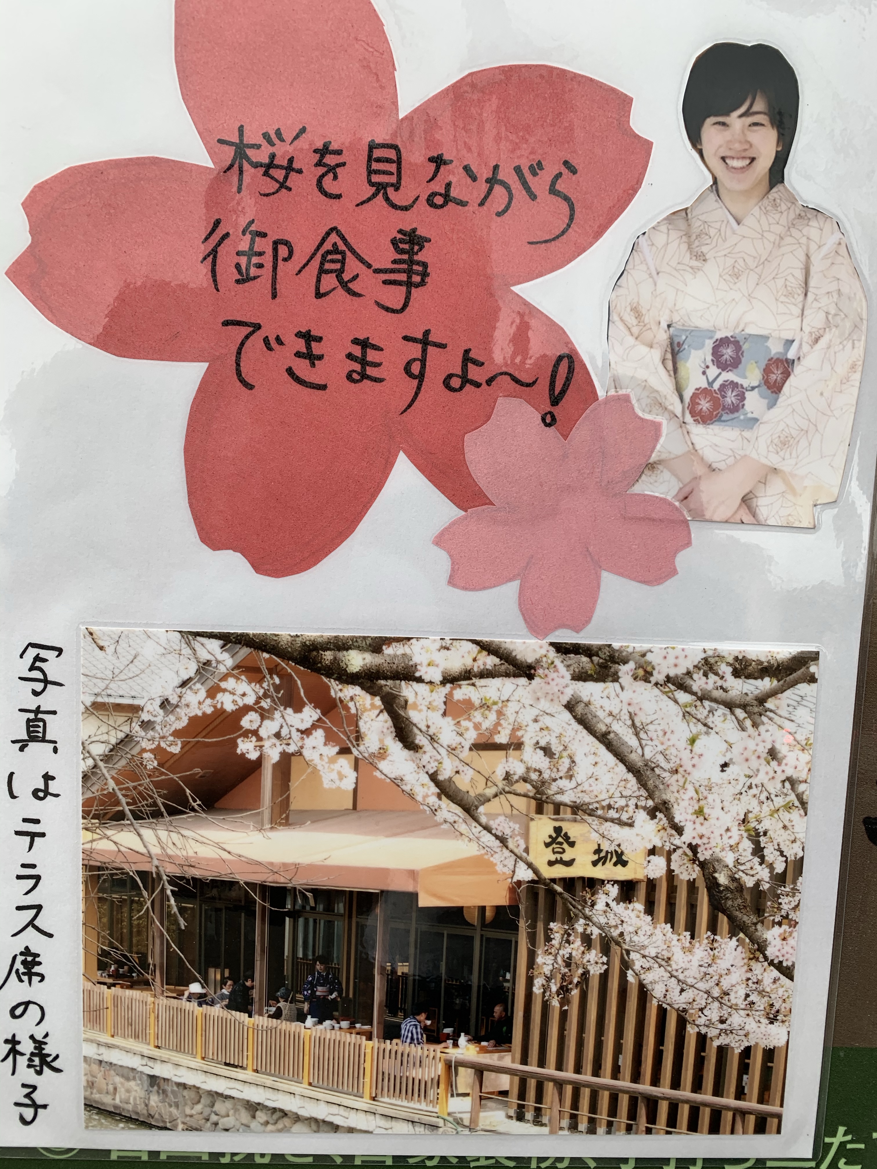 出石城下町桜開花し始めました 出石皿そば登城